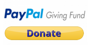 PayPal-Giving-Fund-Donate-300x150